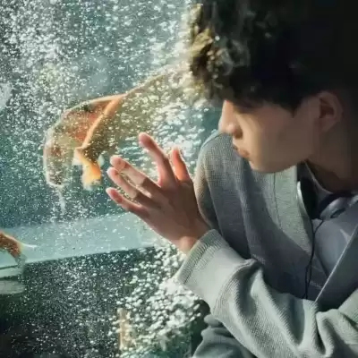 逢今瑶